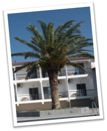 Aeolos Hotel1